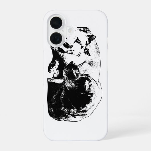 Coque iPhone 16 Pocket Armor—Duo Cosy (Verso)