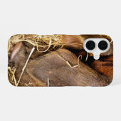 COQUE iPhone 16 PORCS (Verso Horizontal)