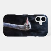 Coque iPhone 16 portrait d'autruche (Verso Horizontal)