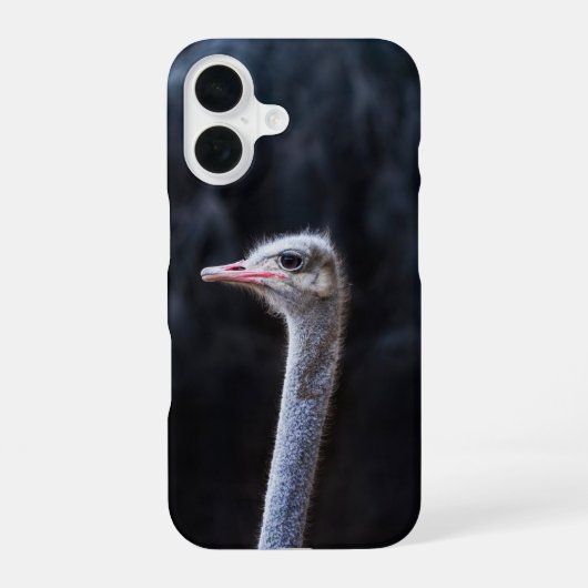 Coque iPhone 16 portrait d'autruche (Verso)