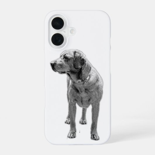 Coque iPhone 16 Présence solide, armure quotidienne (Verso)