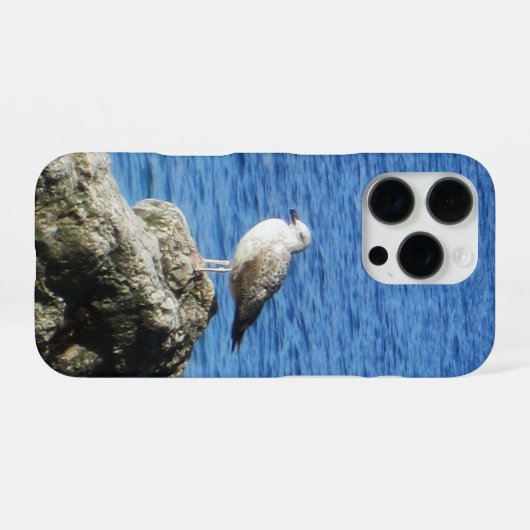 Coque iPhone 16 Pro Boîtier téléphonique Seagull (Verso Horizontal)