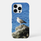 Coque iPhone 16 Pro Boîtier téléphonique Seagull (Verso)