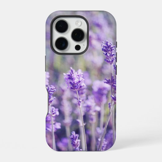 Coque iPhone 16 Pro Champ de Lavande Violette (Verso)