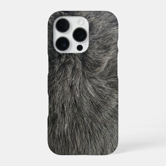 Coque iPhone 16 Pro chat gris (Verso)