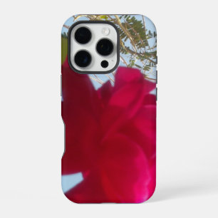 Coque iPhone 16 Pro Fleur céleste Une rose rouge contre le ciel bleu