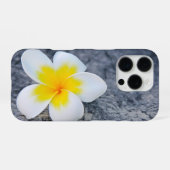 Coque iPhone 16 Pro frangipanier (Verso Horizontal)