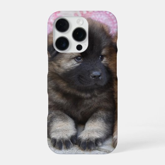 Coque iPhone 16 Pro Funda de iPhone 16 con foto de perrito marrón (Verso)