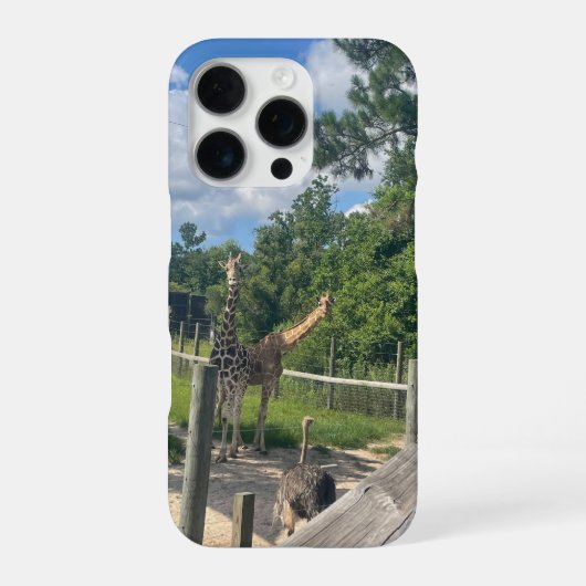 Coque iPhone 16 Pro Girafes (Verso)