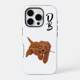 Coque iPhone 16 Pro Goldie Golden Doodle Blanc