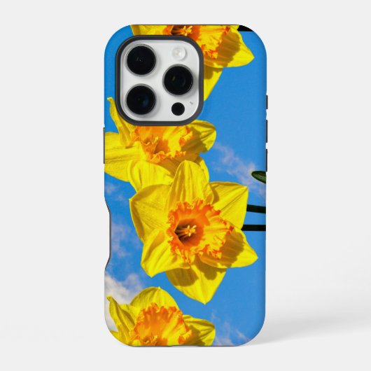 Coque iPhone 16 Pro Groupe de Daffodils Médaille d'or fleurs Téléphone (Verso)