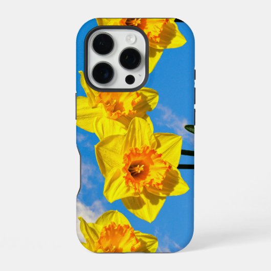 Coque iPhone 16 Pro Groupe de Daffodils Médaille d'or fleurs Téléphone (Verso)