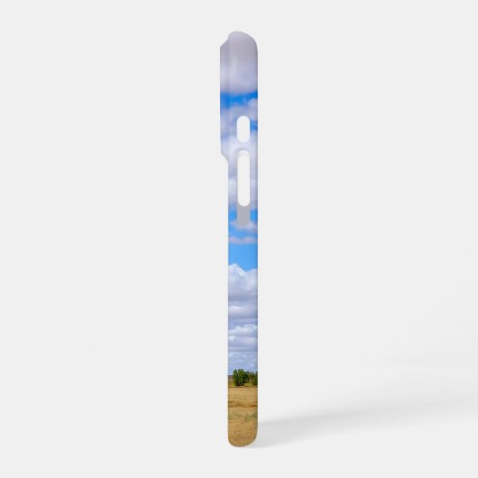 Coque iPhone 16 Pro Harvested wheat fields  (Côté gauche)