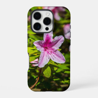 Coque iPhone 16 Pro magnifiques fleurs d'azalée rose au Descanso Garde