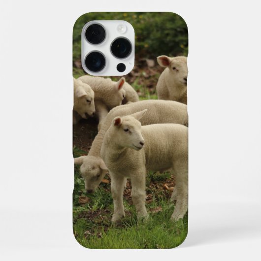 Coque iPhone 16 Pro Max Agneau (Verso)