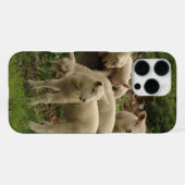 Coque iPhone 16 Pro Max Agneau (Verso Horizontal)