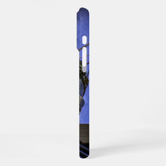 Coque iPhone 16 Pro Max Boîtier iPhone (Côté gauche)