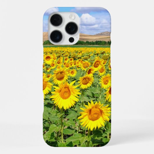 Coque iPhone 16 Pro Max Champ de tournesols (Verso)