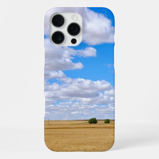 Coque iPhone 16 Pro Max Champs de blé moissonnés (Verso)