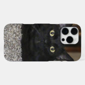 Coque iPhone 16 Pro Max Chat Noir (Verso Horizontal)