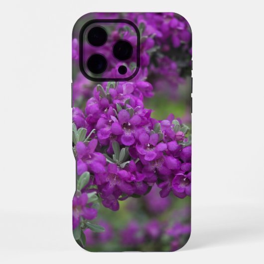 Coque iPhone 16 Pro Max Étui pour Iphone Texas Sage (Verso)