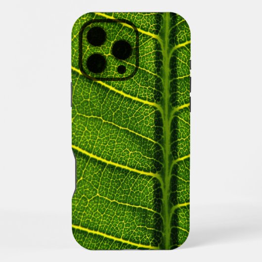Coque iPhone 16 Pro Max Feuille verte (Verso)