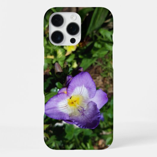 Coque iPhone 16 Pro Max Fleurs de Freesia Violettes (Verso)