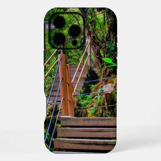 Coque iPhone 16 Pro Max Forêt moussue (Verso)