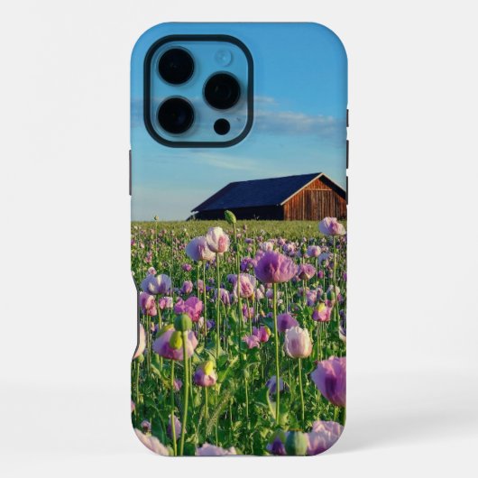 Coque iPhone 16 Pro Max Grange (Verso)