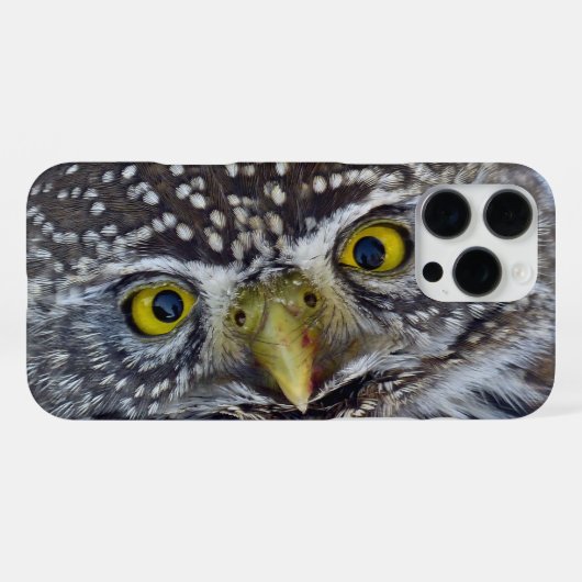 Coque iPhone 16 Pro Max Hibou (Verso Horizontal)