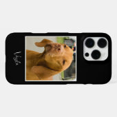 Coque iPhone 16 Pro Max Jolie photo de Vizsla (Verso Horizontal)