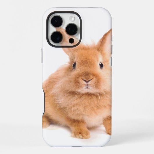 Coque iPhone 16 Pro Max Lapin (Verso)