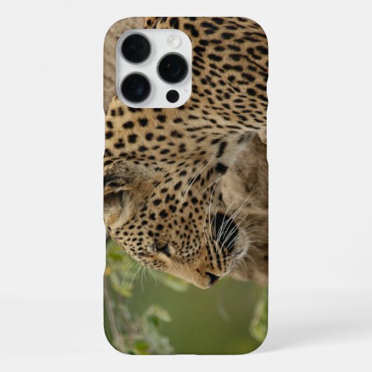Coque iPhone 16 Pro Max Léopard (Verso)