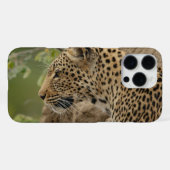 Coque iPhone 16 Pro Max Léopard (Verso Horizontal)