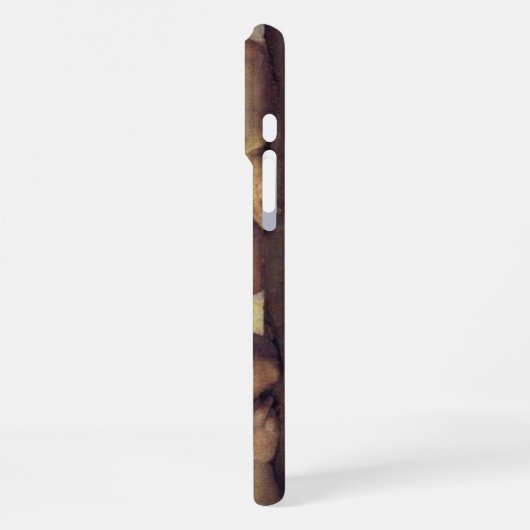 Coque iPhone 16 Pro Max Les anges de Raphaël (Côté gauche)