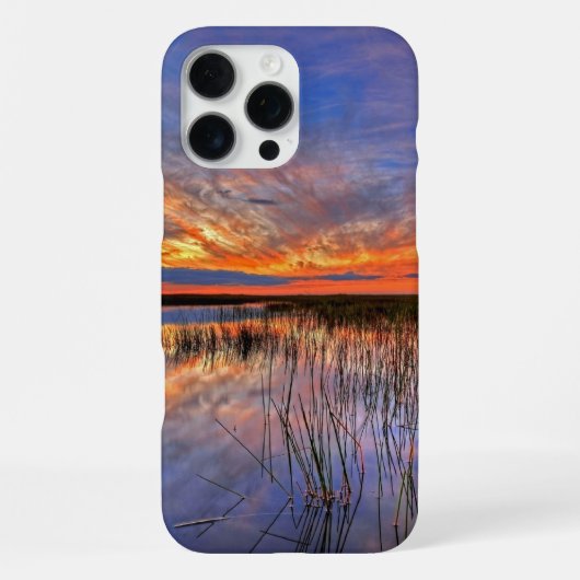 Coque iPhone 16 Pro Max Marais d'Everglades de Floride (Verso)