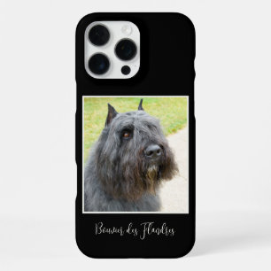 Coque iPhone 16 Pro Max Photo de Bouvier des Flandres