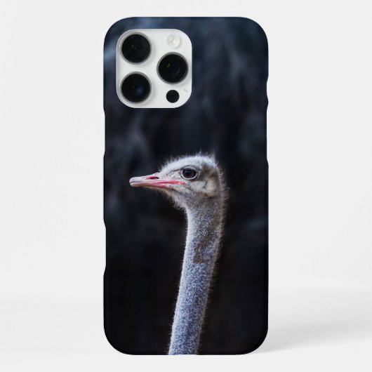 Coque iPhone 16 Pro Max Photographie d'autruche (Verso)