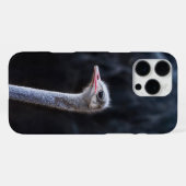 Coque iPhone 16 Pro Max Photographie d'autruche (Verso Horizontal)
