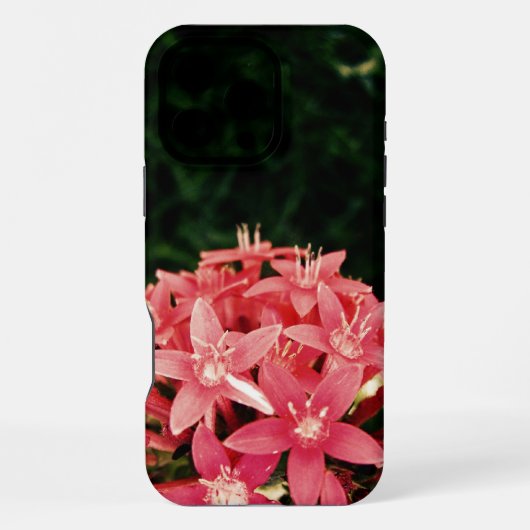 Coque iPhone 16 Pro Max Rose (Verso)