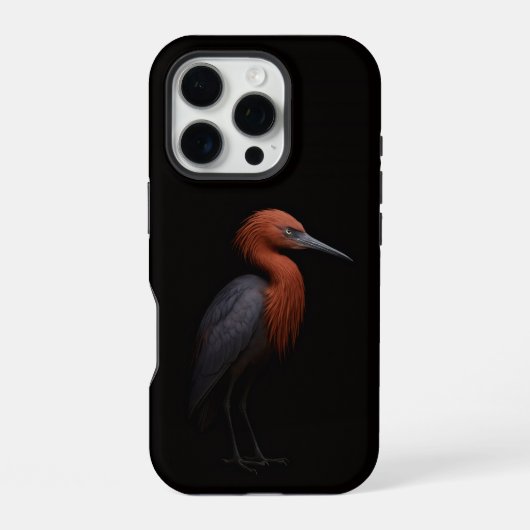 Coque iPhone 16 Pro Noir 4 Luxe iPhone 16 Pro, Aigrette Rouchie (Verso)