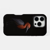 Coque iPhone 16 Pro Noir 4 Luxe iPhone 16 Pro, Aigrette Rouchie (Verso Horizontal)