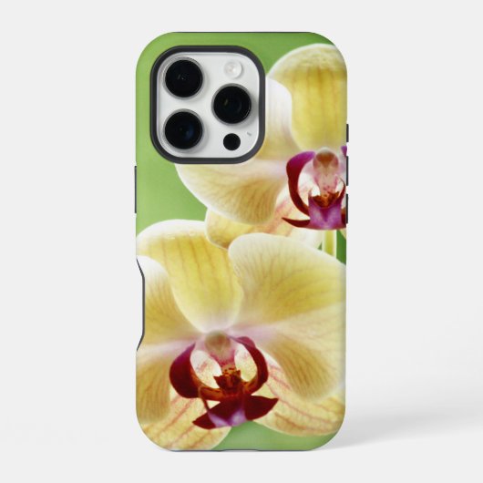 Coque iPhone 16 Pro Orchidée jaune et rose (Verso)