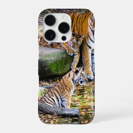 Coque iPhone 16 Pro Tigre (Verso)