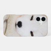 Coque iPhone 16 Renard arctique blanc (Verso Horizontal)