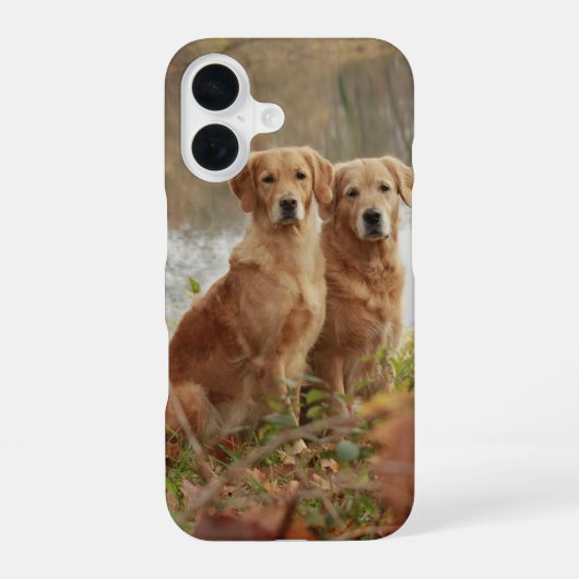 Coque iPhone 16 Retriever Buddies (Verso)