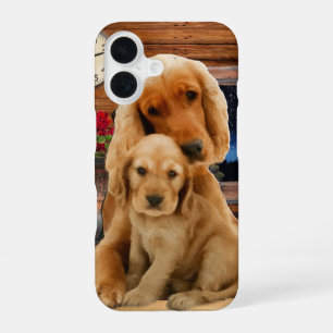 Coque iPhone 16 retriever du Labrador