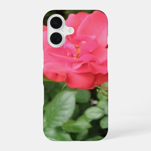 Coque iPhone 16 Rose sauvage (Verso)