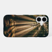 Coque iPhone 16 Sunbeam Forest Vintage (Verso Horizontal)