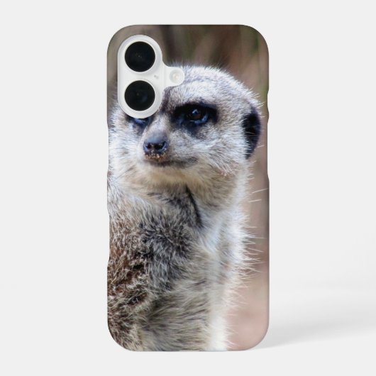 Coque iPhone 16 suricate (Verso)